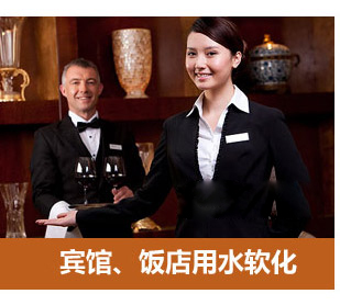 全自動軟水器